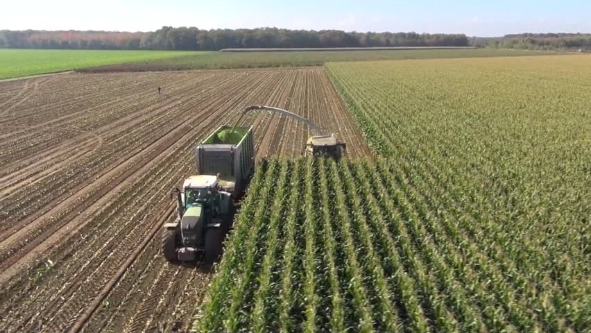 Aerial view of a farmer harvesting silage