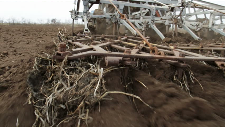 Tractor working on the filed.