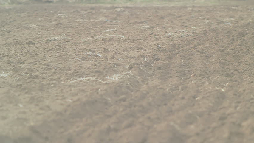 View on the back of a tractor while ploughing.