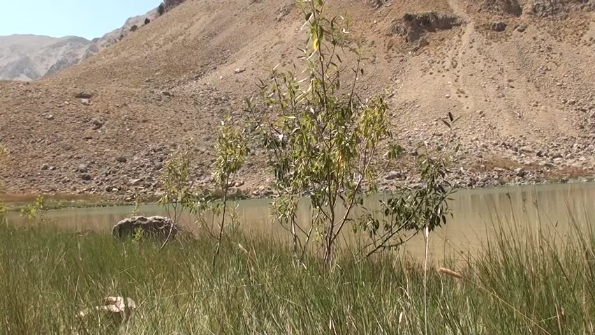 crater lake in hot summer day, flies passing by 