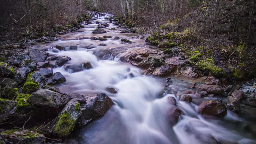 River by Lillooet Lake in BC, Canada. Photo Sequence shot in RAW and Post-Production in After Effects.