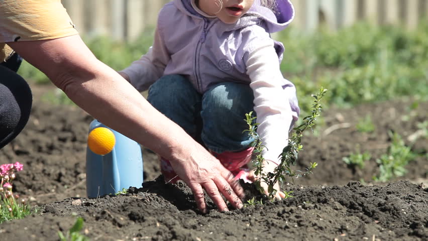Grandma and Granddaughter Planting Plants on Smallholder Farm