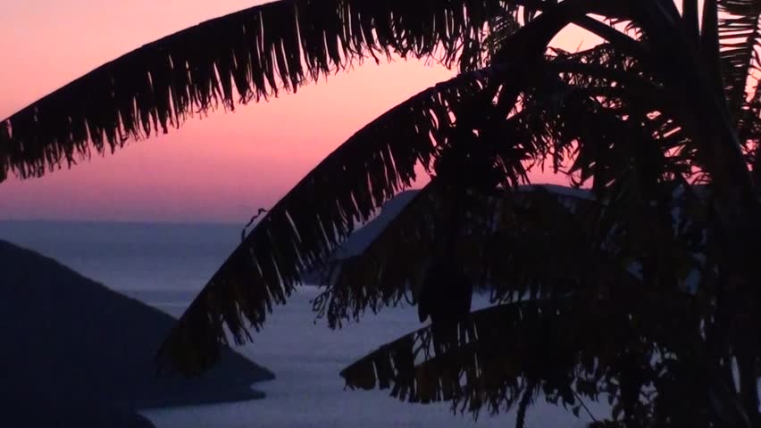 Palms, bay, boat, lights and an island at twilight, zoom out 