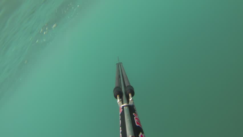NORTHERN ISRAEL â MARCH 31: Spear fisherman spearfishing underwater, while searching for big and fat fish and octopus, March 31, 2013