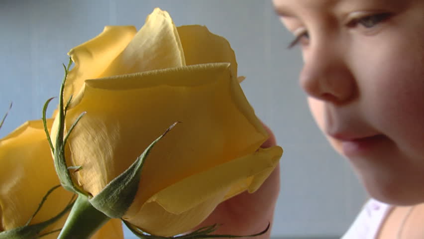 Little girl smells roses