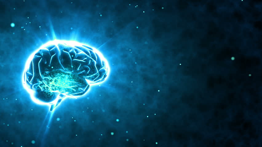 Brain images.