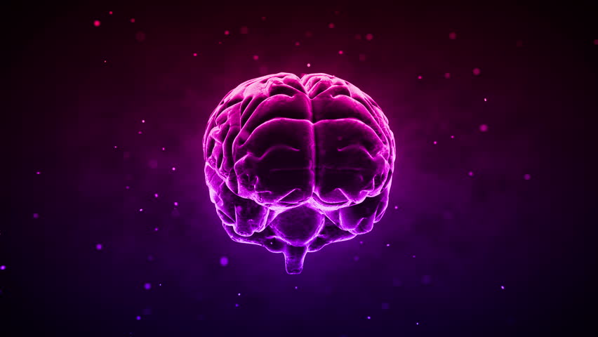Brain images.