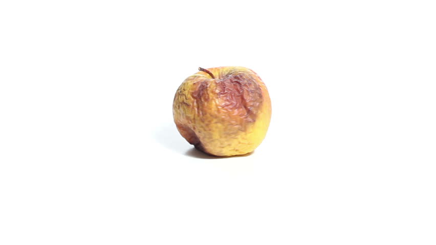 Rotten apple on white background