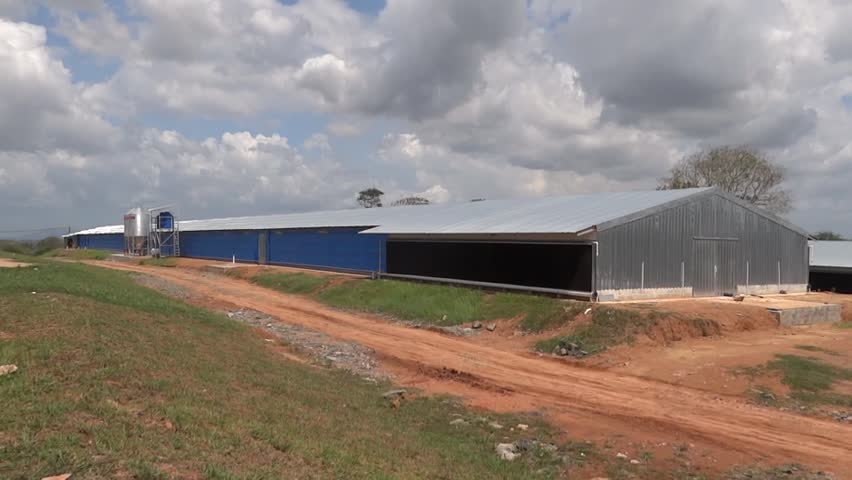 Modern Poultry House