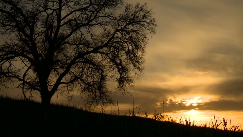 A pair of hunters, in silhouette, walk with their guns, at sunset.
