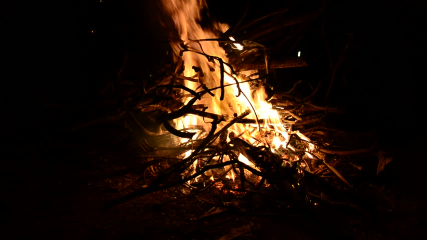 Bonfire burning in the dark night