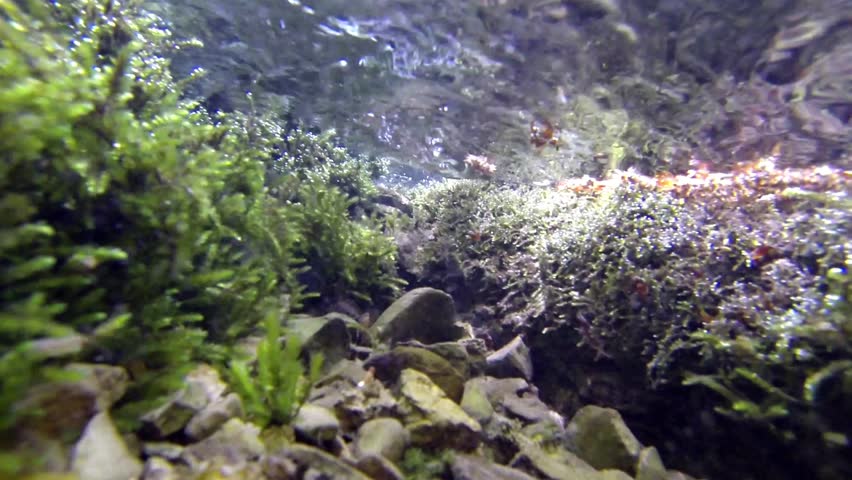 Underwater mountain river
