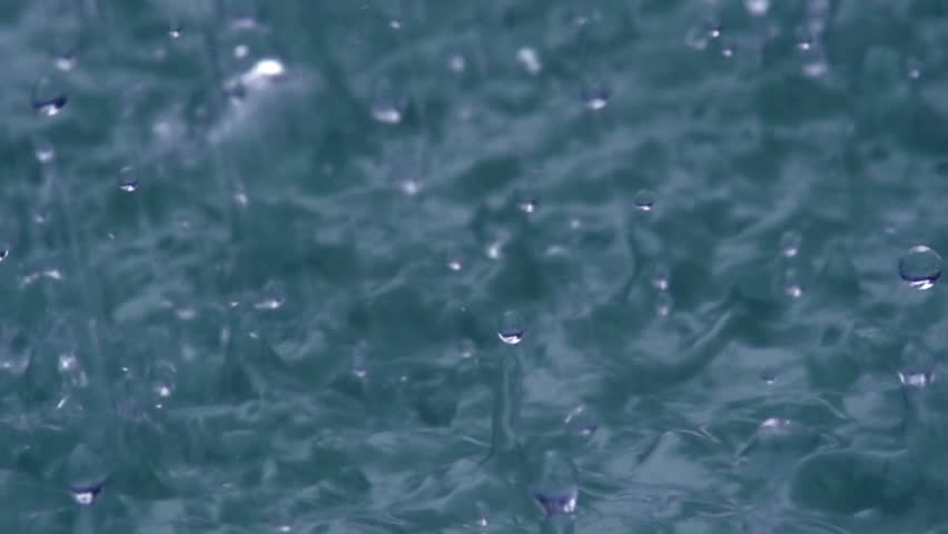 Heavy Rain. Raindrops are falling rapidly to the surface of the pond