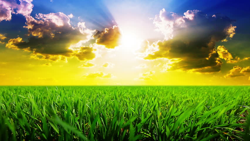 green field and cloudy sky