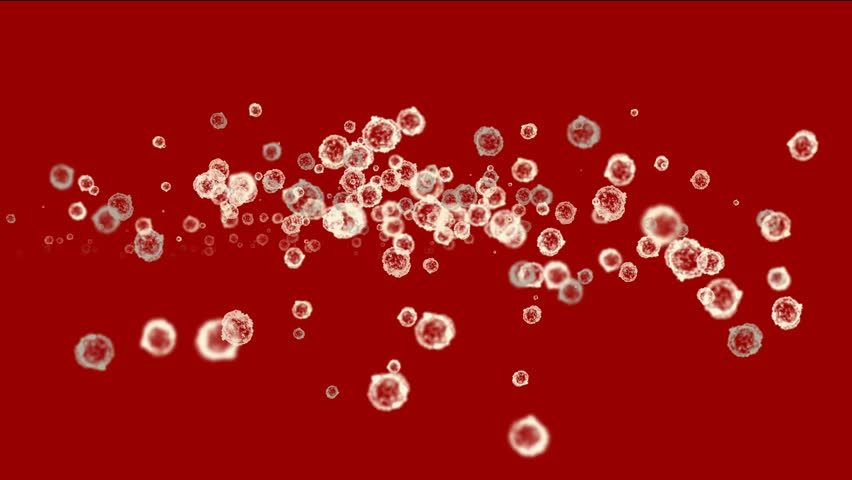 cells & virus,dust particles.