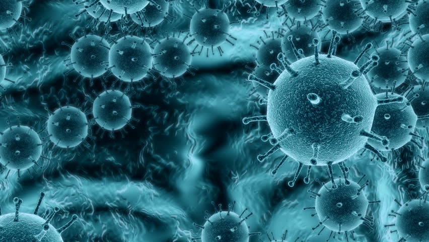 virus