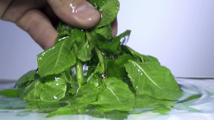Fresh mint falls under water with a splash.