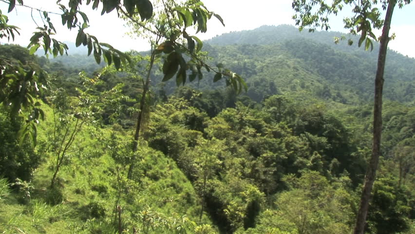 Pan shot of the mountainous  tropical rain forest in Costa Rica