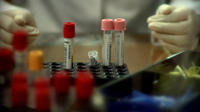 Scientist classifying liquid sample in a laboratory