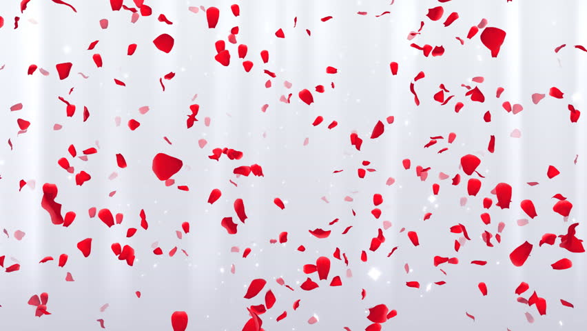 Rose Petals.