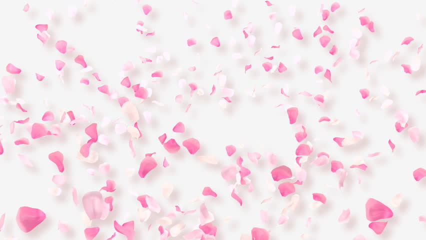 Rose Petals.