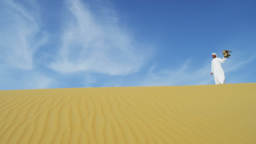 Arab male white headdress desert sand dunes with hooded trained falcon displaying wings on gloved wrist shot on RED EPIC, 4K, UHD, Ultra HD resolution