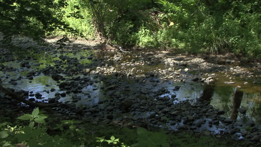 Rocky stream bed. HD.