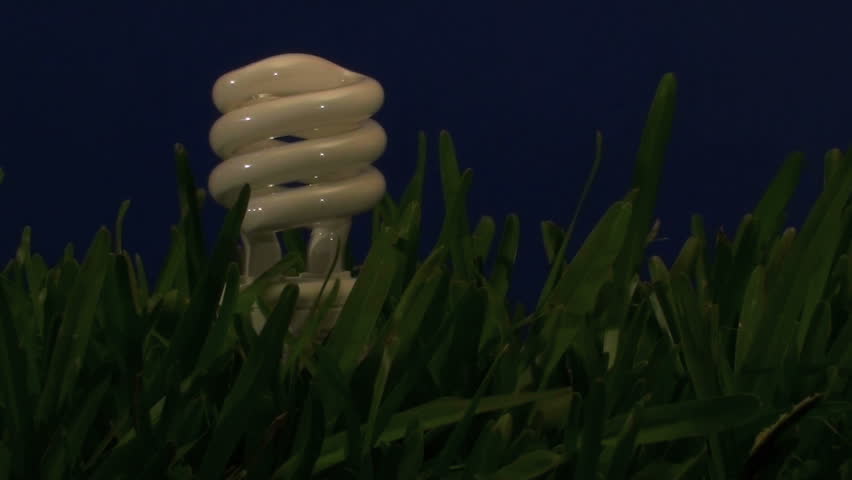 energy saving light-bulb in grass