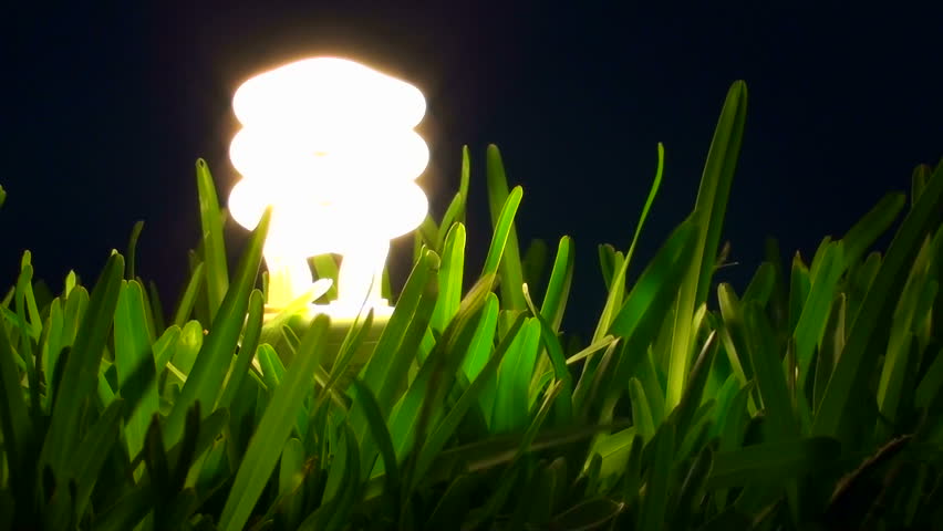 energy saving light-bulb in grass