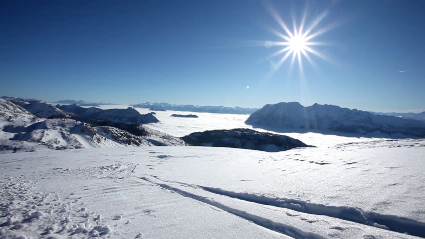 back view of male skier on fresh snow