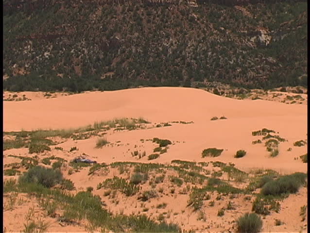 A pair of classic dune buggies speed across the dunes of the Coral Pink Sand State Park in southern Utah.