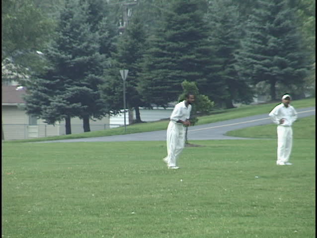 Cricket Game