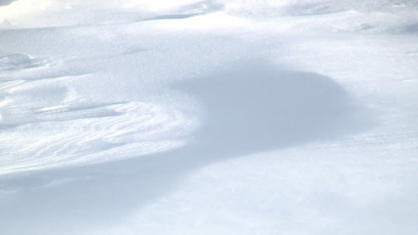 Snowdrift Sculpted by Wind Driven Ice Crystals 
