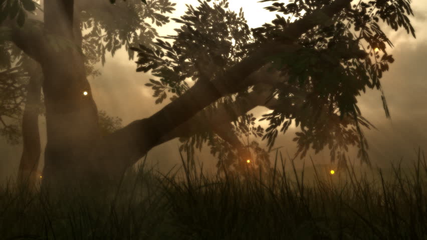  Great fantasy animation of fairy firefly lights dancing ancient wooded glen. 