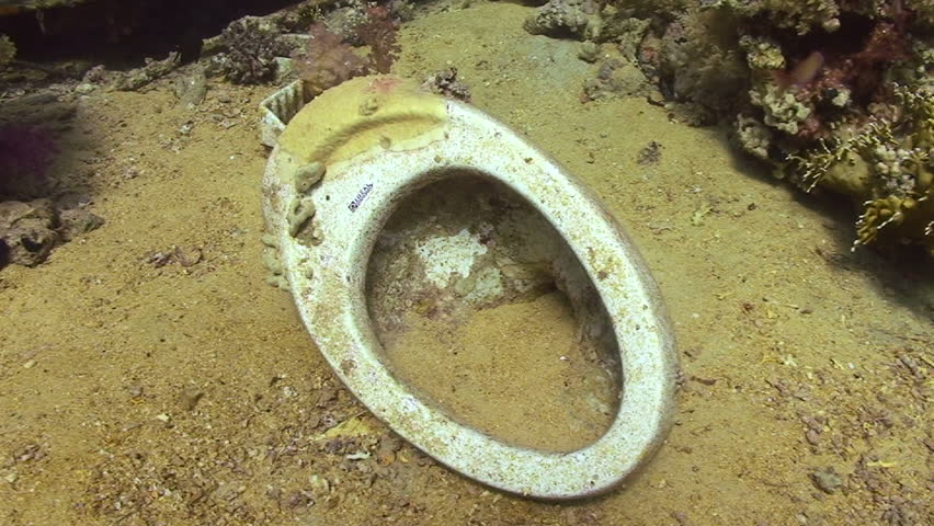 Wide angle view of a Coral encrusted sanitary ware. Yolanda reef, Red Sea, Egypt. MORE INFO: Camera zooms out from a Close up of the toilet to overview of scene. 