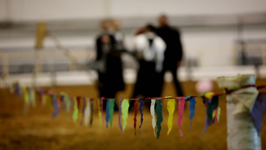 Flag barrier with cossack on background