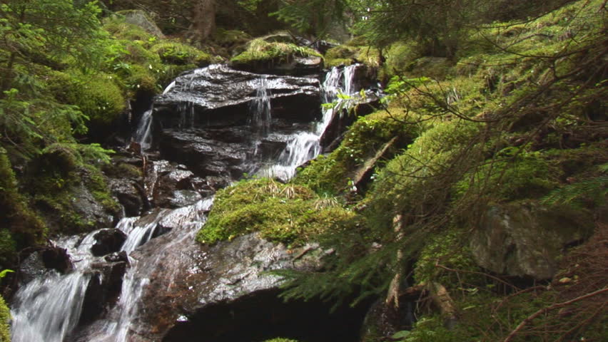 waterfall in the woods