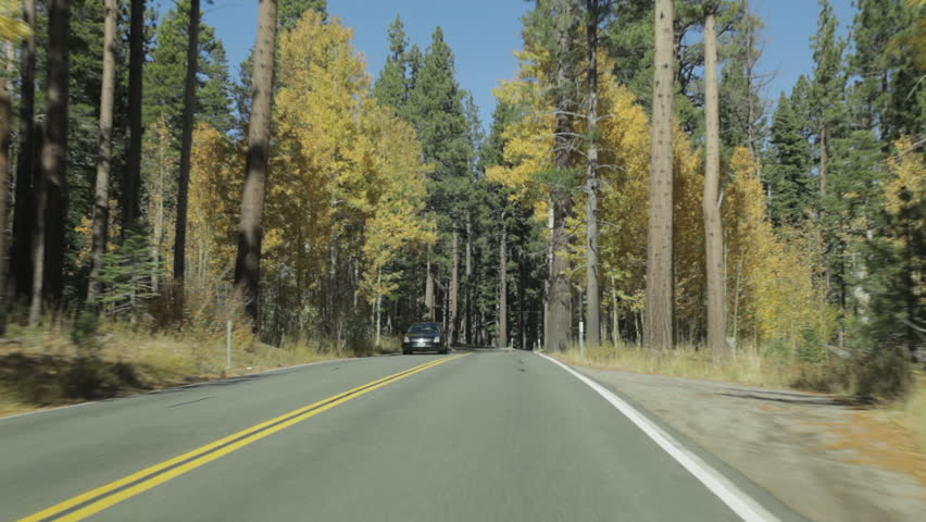 Driver POV on a heavily treed portion of Emerald Bay Road, along the southwestern shore of Lake Tahoe (the lake is not visible in this clip).