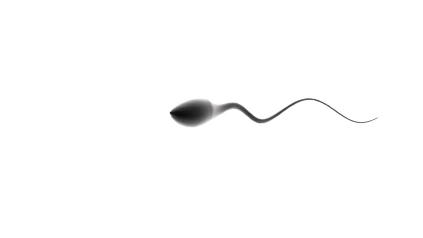 Sperm competition ahead ovum