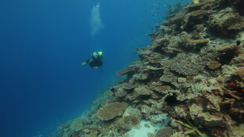female diver diving along reef at good visibility 