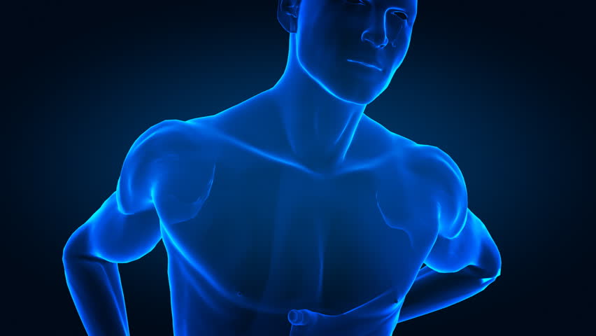 Pain in human arm concept - x-ray concept