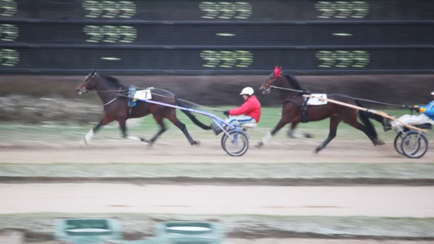 two teams with horses and jockeys close up on hippodrome 