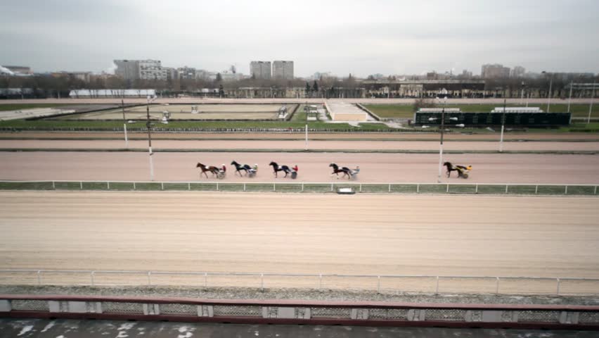 panorama of hippodrome from bench of spectators on which there are harnessed racers 