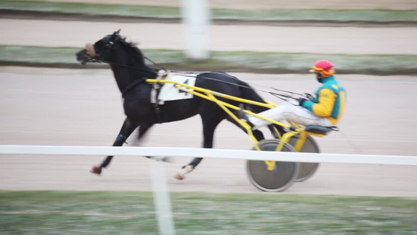 ÃâÃÂlose up running horse in cart, operated jockey, on hippodrome 
