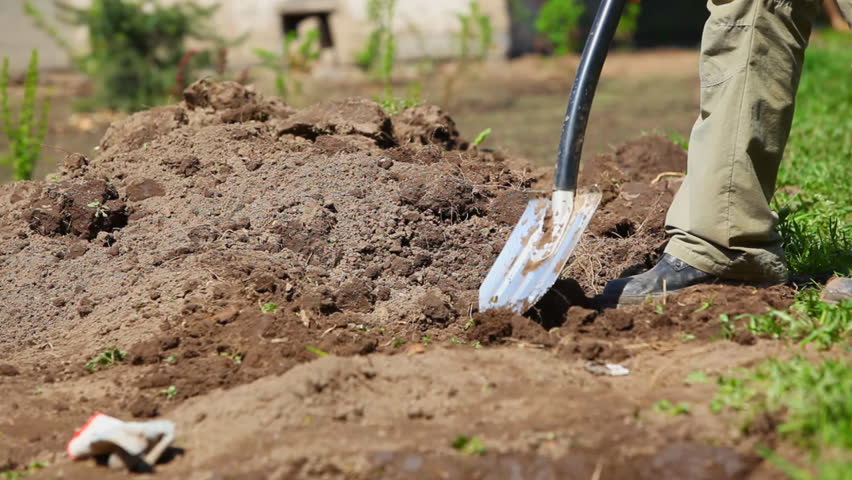 Man diging ground in garden. 