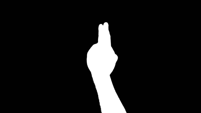 Demonstrating the various uses of a touchscreen PC's multi-gesture trackpad or screen.  Green screen with luma matte.  Shot 4:2:2 for clean keying.