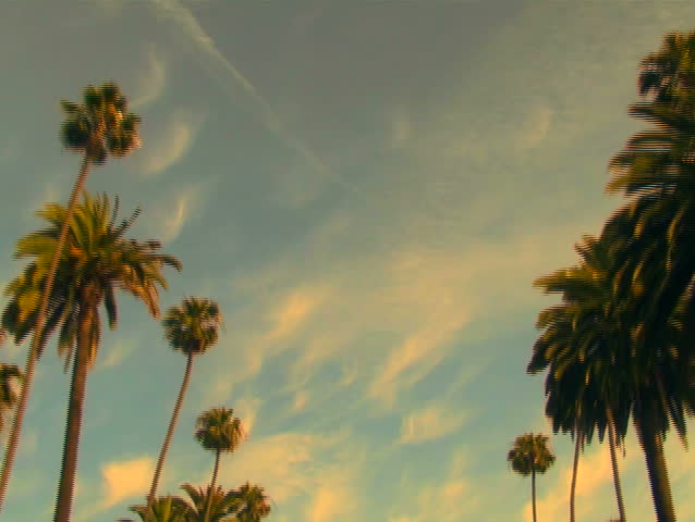 Beverly Hills palm trees at sunset driving shot V2 - NTSC