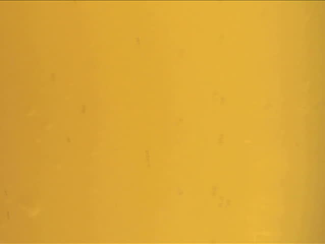 Beer froth macro V1 - NTSC