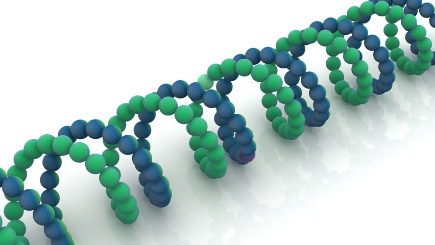 gene in DNA. 3d 
