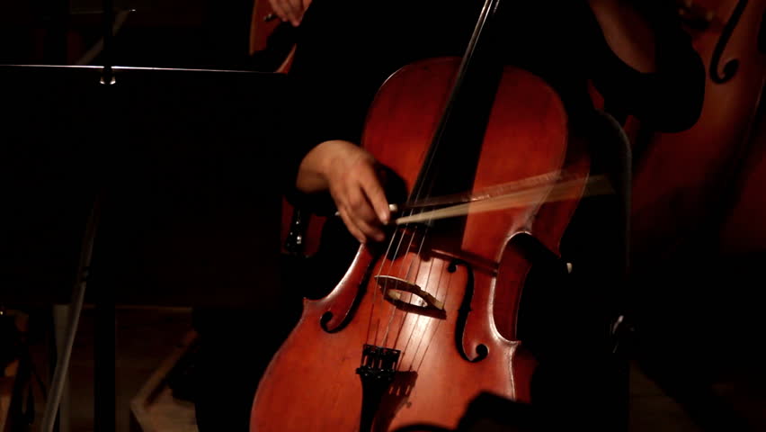 close-up view on violoncello in orchestra